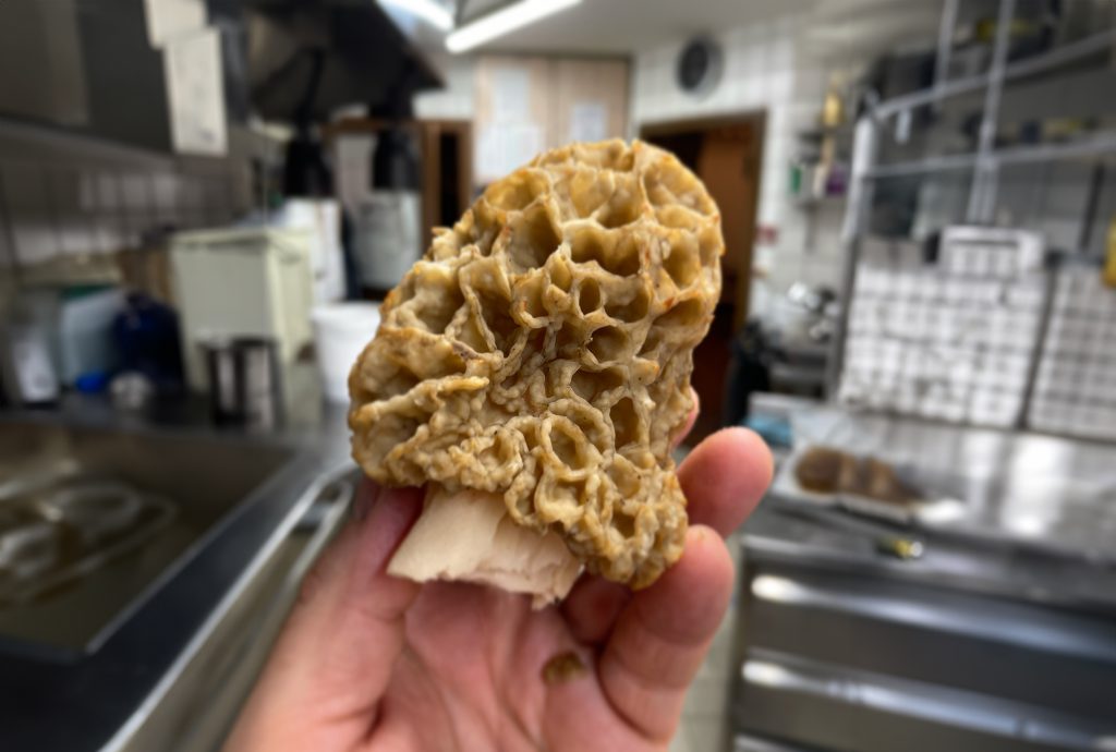 Main du chef Thierry Schwartz tenant un champignon  en écho à la cuisine nature